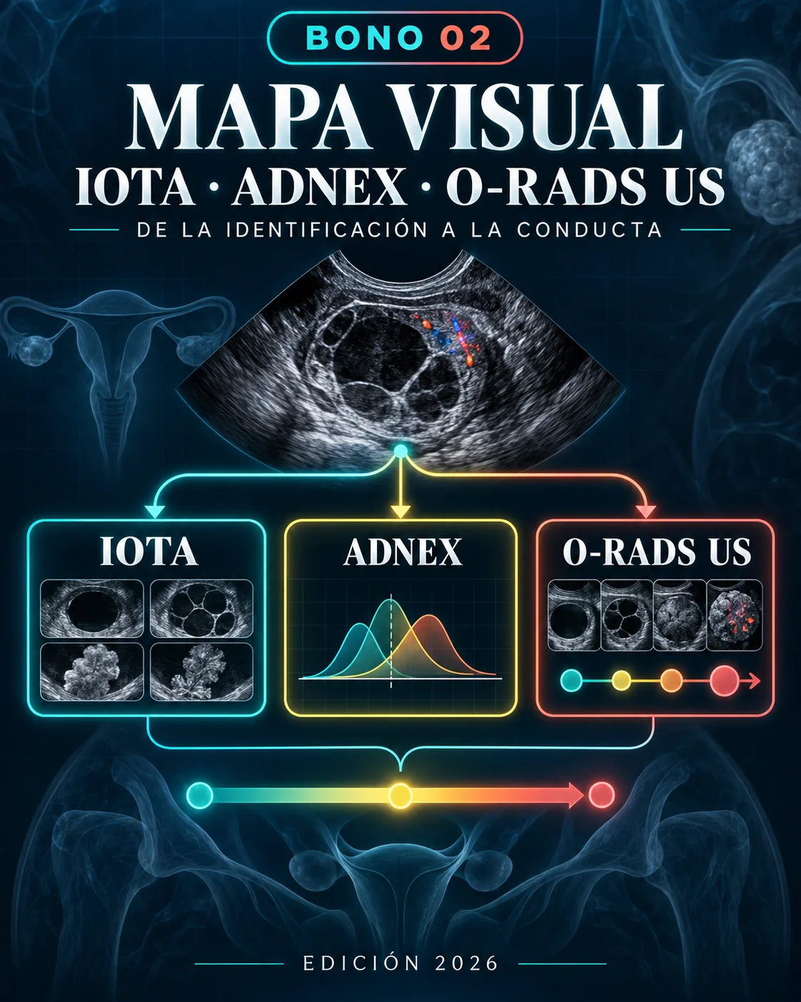 Vista del Mapa visual IOTA · ADNEX · O-RADS